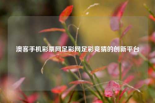 澳客手机彩票网足彩网足彩竞猜的创新平台