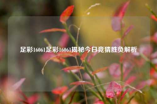 足彩16061足彩16061揭秘今日竞猜胜负解析