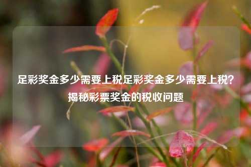 足彩奖金多少需要上税足彩奖金多少需要上税？揭秘彩票奖金的税收问题