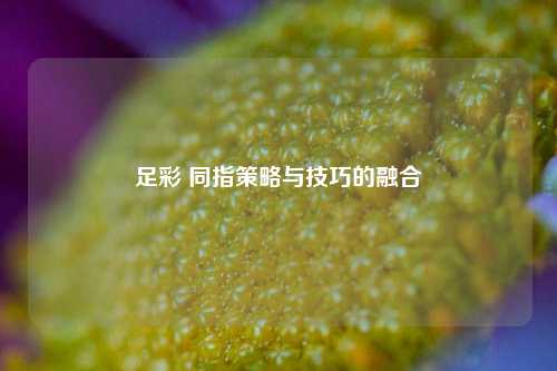 足彩 同指策略与技巧的融合